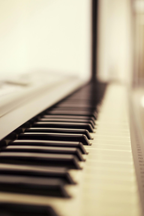Elegant Piano Keys Close up